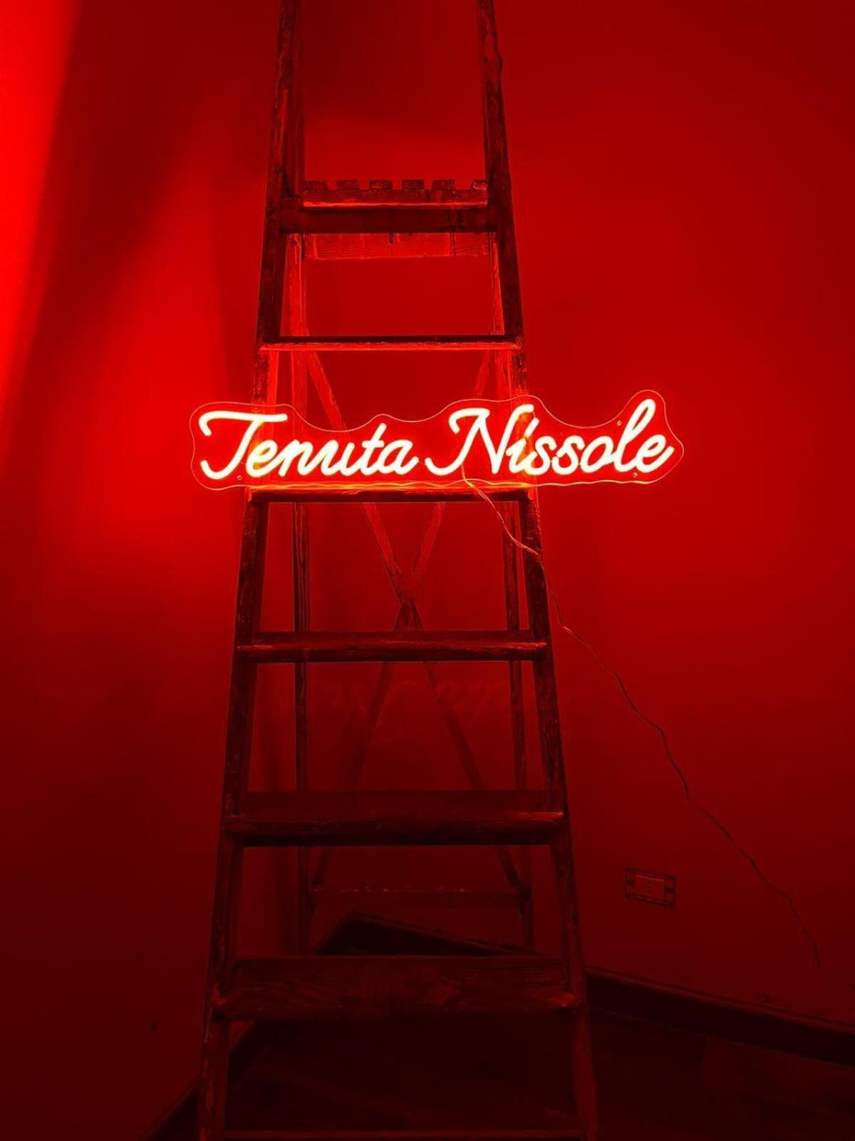 Tenuta Nissole Rocchetta Tanaro Exteriér fotografie